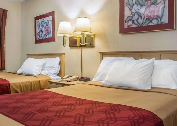 Econo Lodge Dewitt I-90